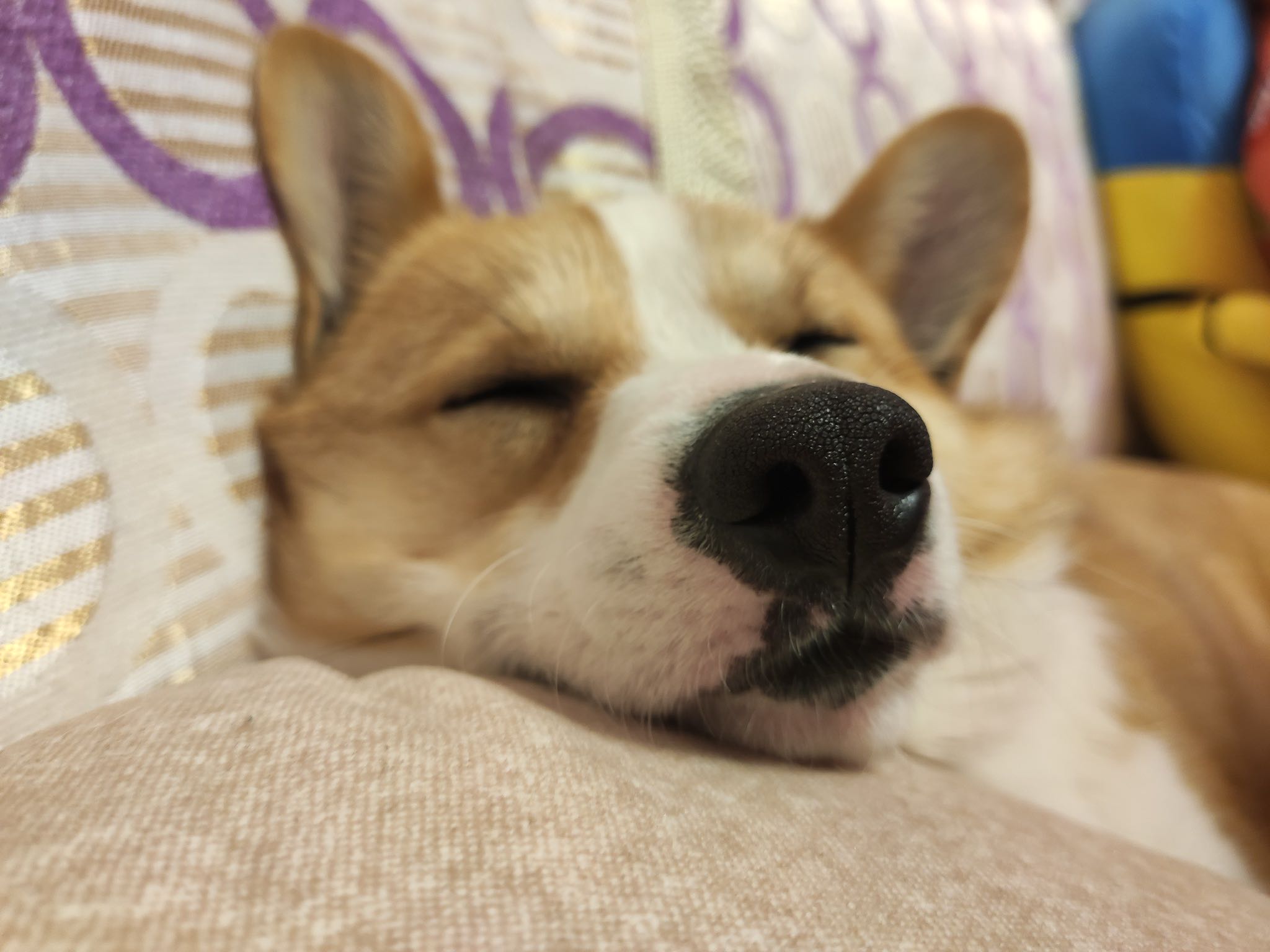 套马的汉子啊威武雄壮