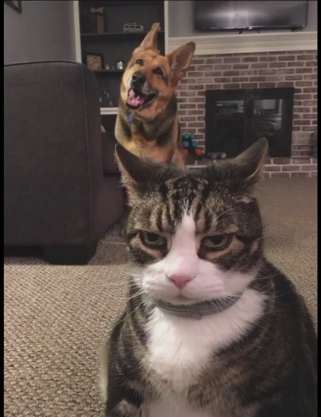 穷小伙最后的倔强