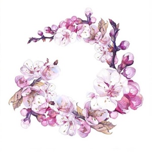 爱吃青椒炒蟹的水蜜桃