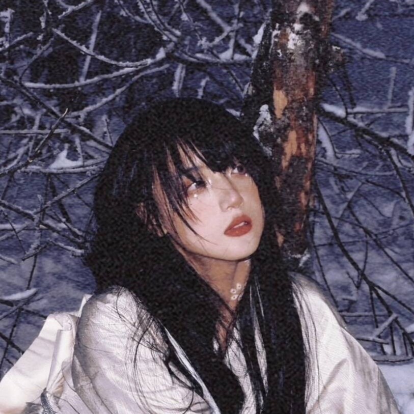 札幌撒花的贝壳