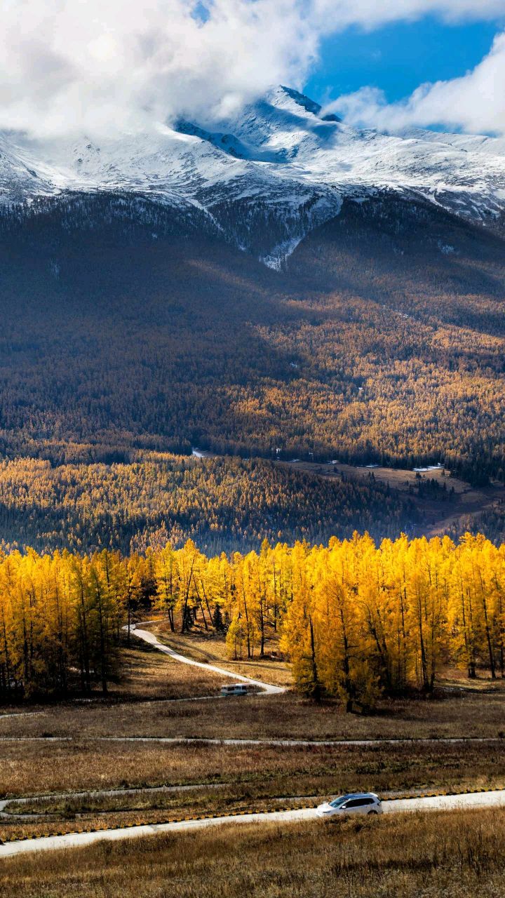 爱吃烧偏口鱼的核桃