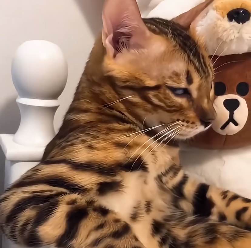 精品闲置简陋浏览有礼