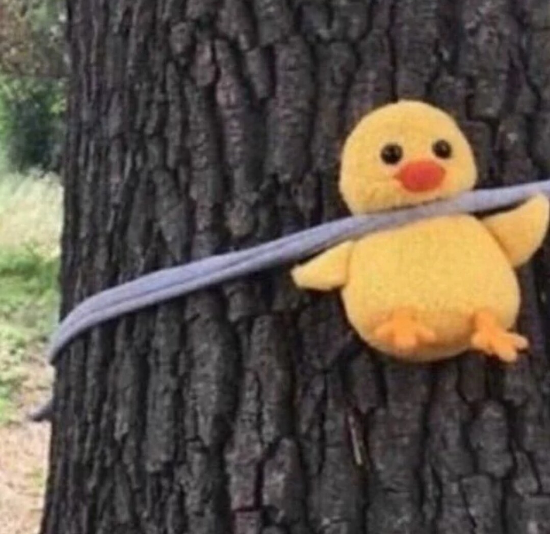 爱吃筋头巴脑的风琴