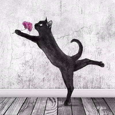 醋与醬油の邂逅