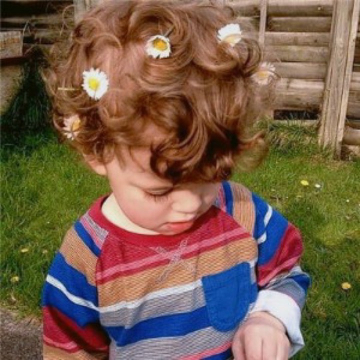 快乐的一只小马