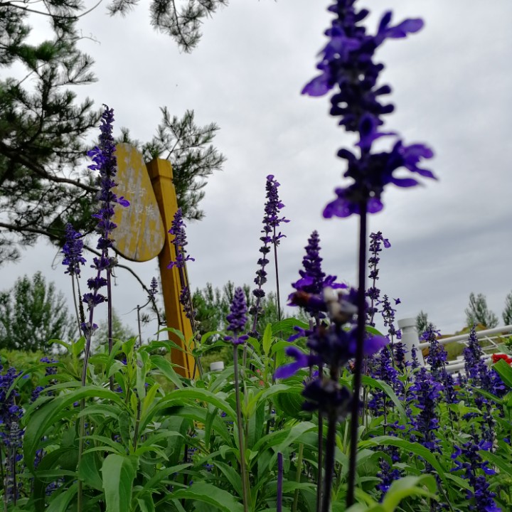 自由自在走一走