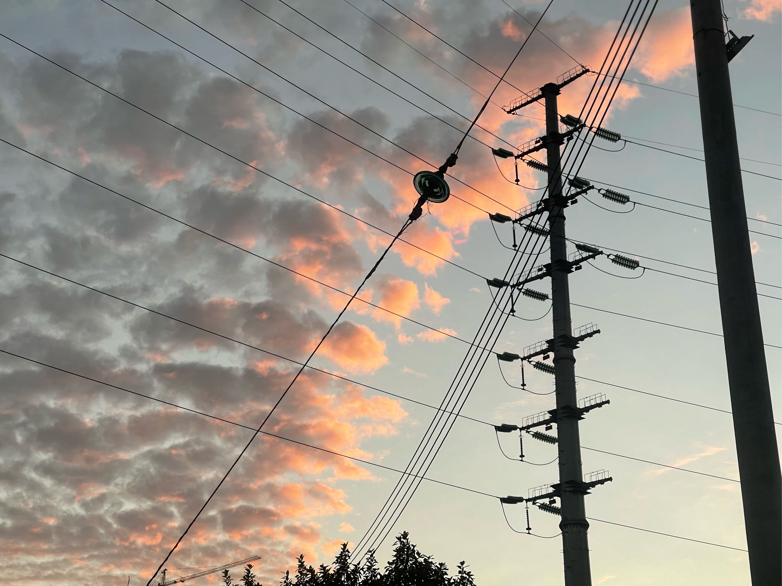 天呐！是小可爱