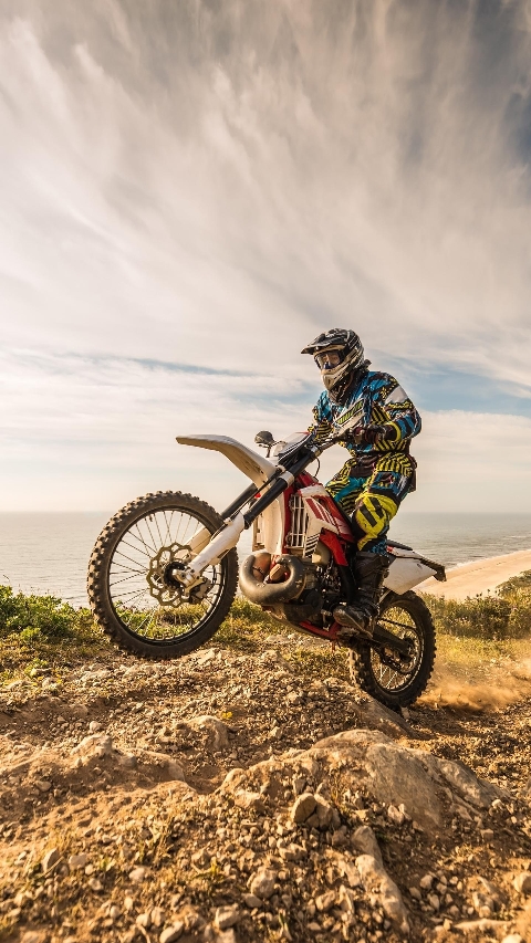 虫儿飞啊鸟儿追