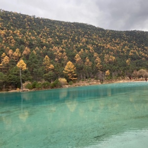 葡萄柚味的云朵