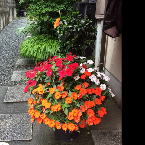 十字绣起源想买就买