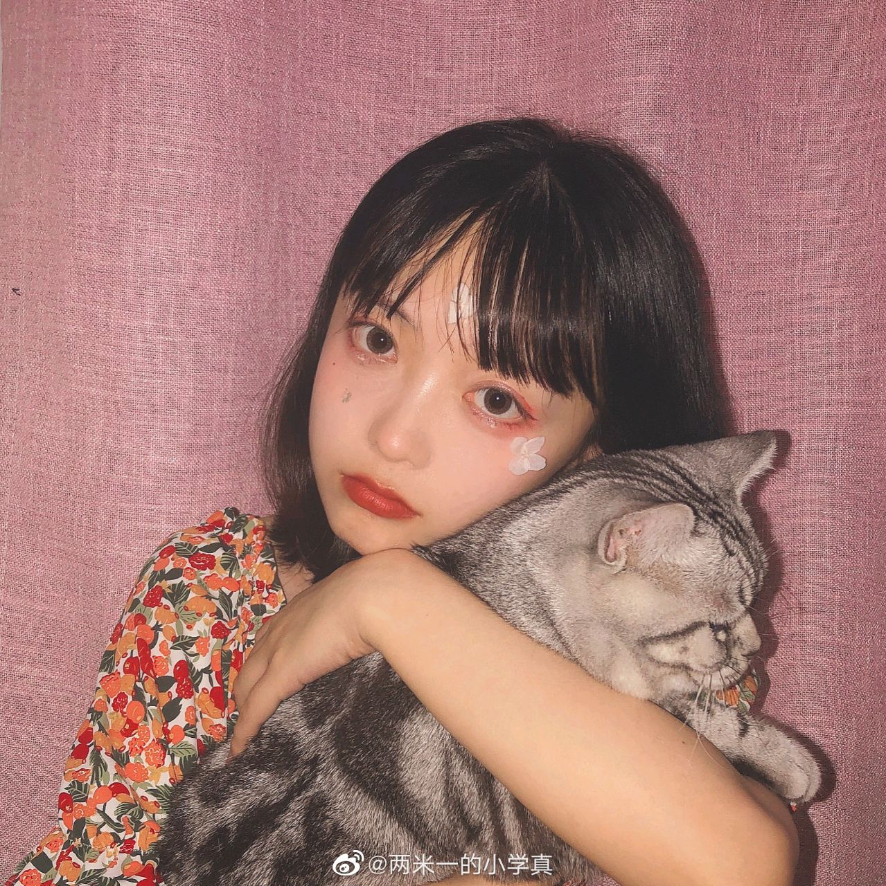 橘橘橘橘橘猫吖