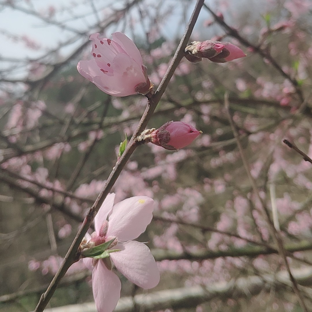 周周周周周周周QwQ