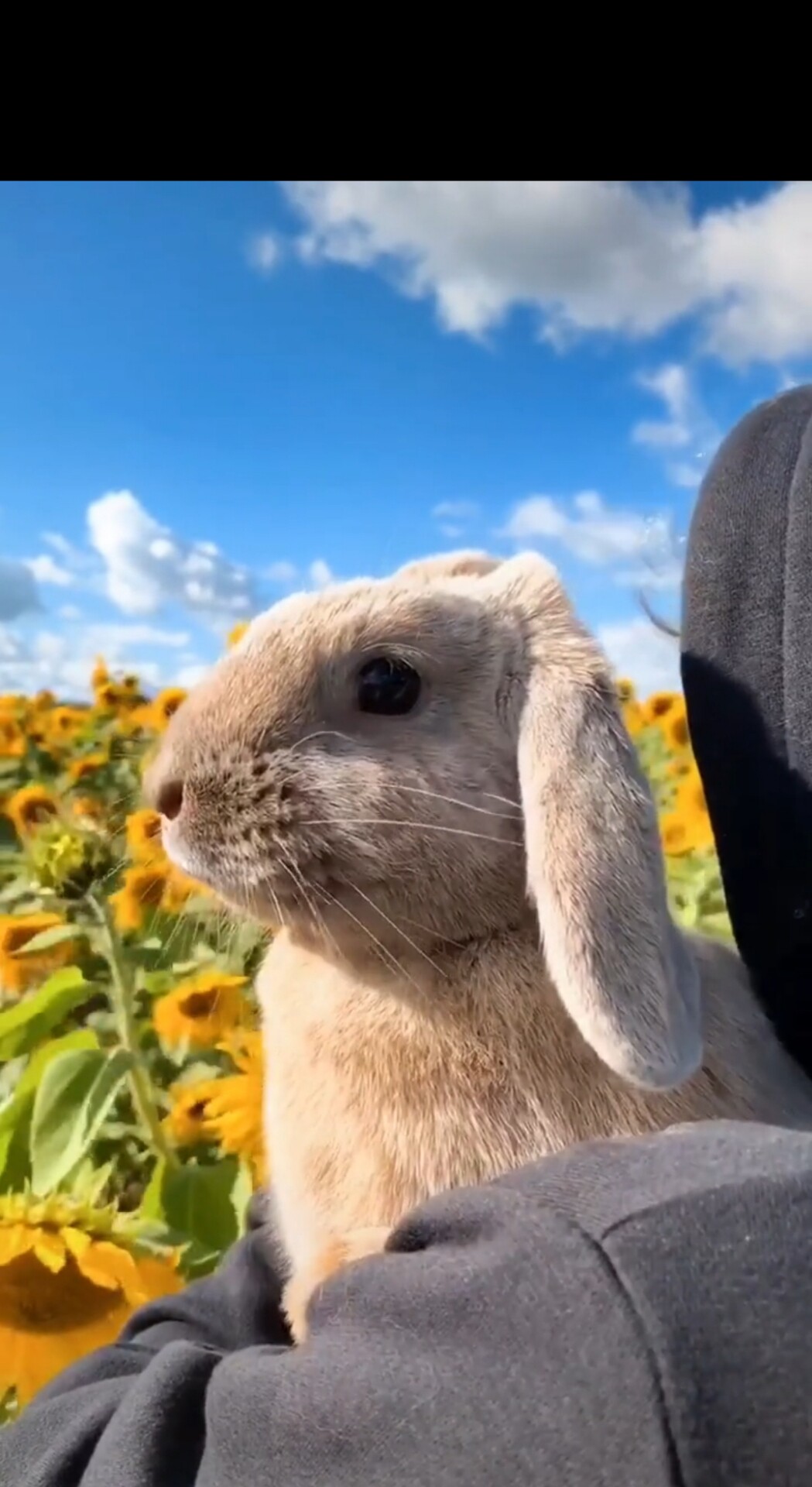 难捱就无谓再拖