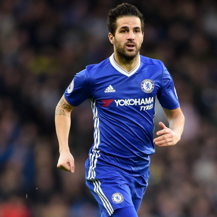 啊辉辉辉哥哥哥哥