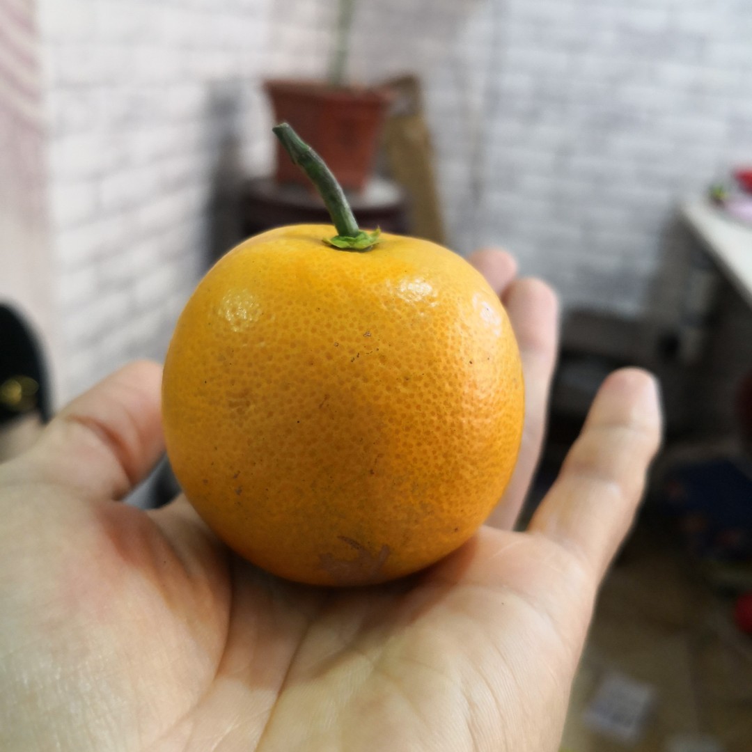 一路有你就已足够