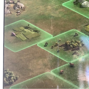 太阳下的蚂蚁国主