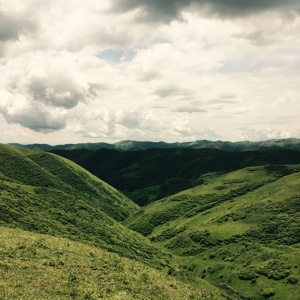 东东钱去哪儿呢