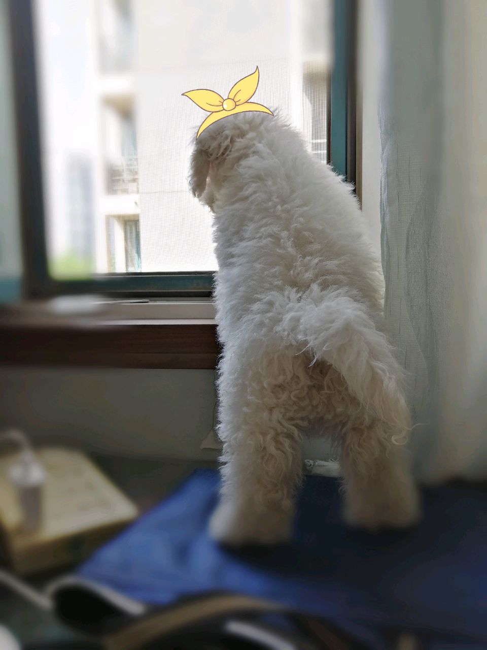 对角巷的糖果店