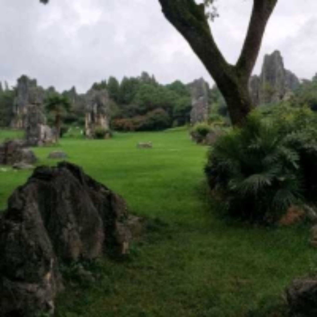 回忆者唐三藏88