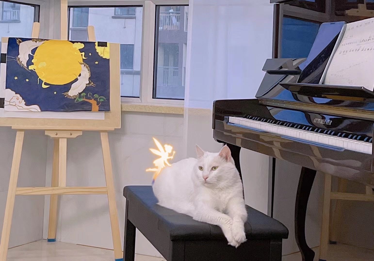 爱吃粽子的小鱼儿