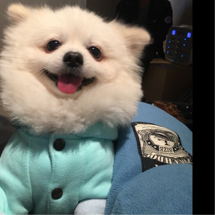 乖哦到阿姨这来