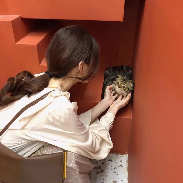 纯天然的手风琴12