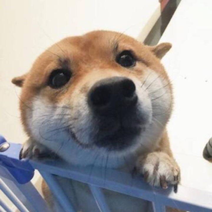 书读太少想不出来