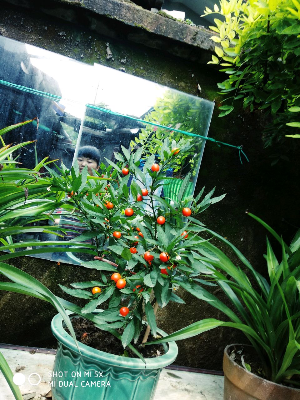 健康快乐幸福满满