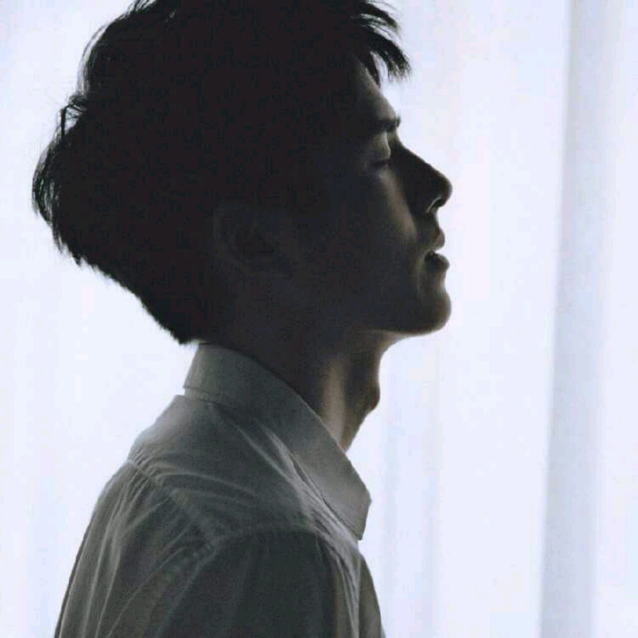 没有感情的杀手;