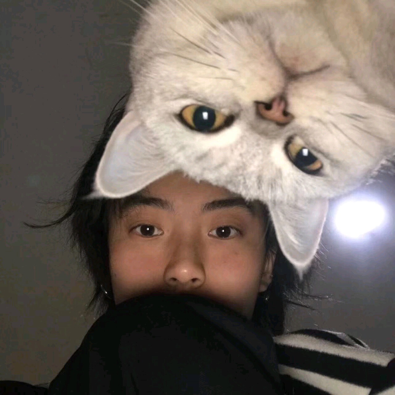 山有木兮木有枝