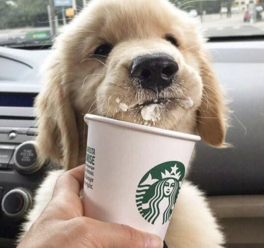 西瓜西瓜不许咬弄