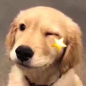 我是文明亚洲人