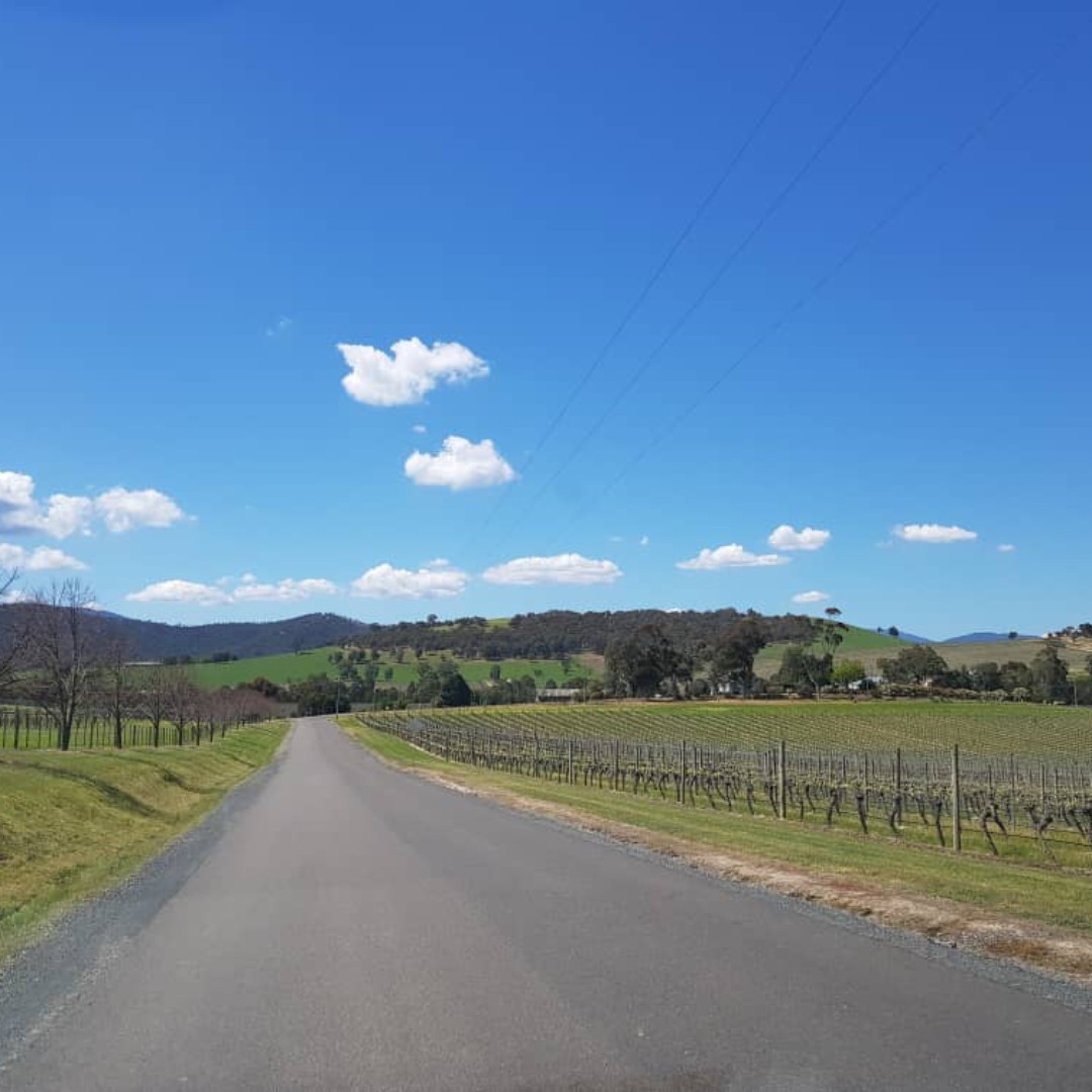 珊娜绯雅~维多利亚