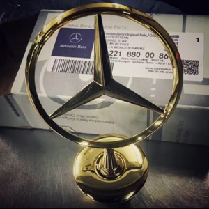 小杨同学很随意