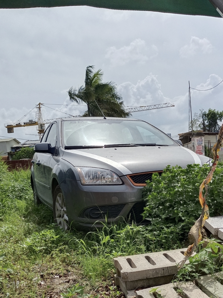 爱车的福克斯车主