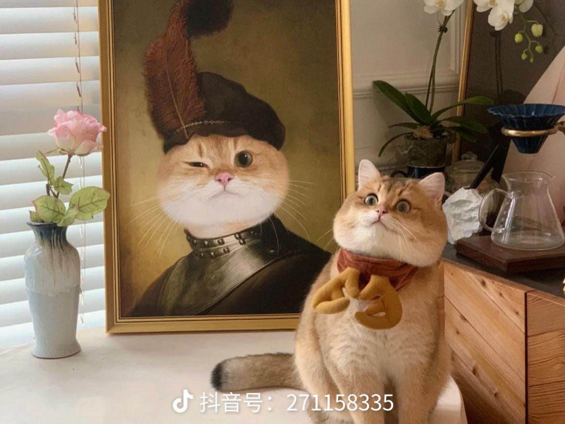 福居路巨蟹座乌梅