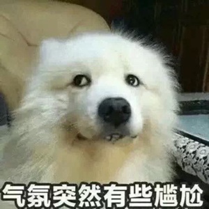 是何坚强阿