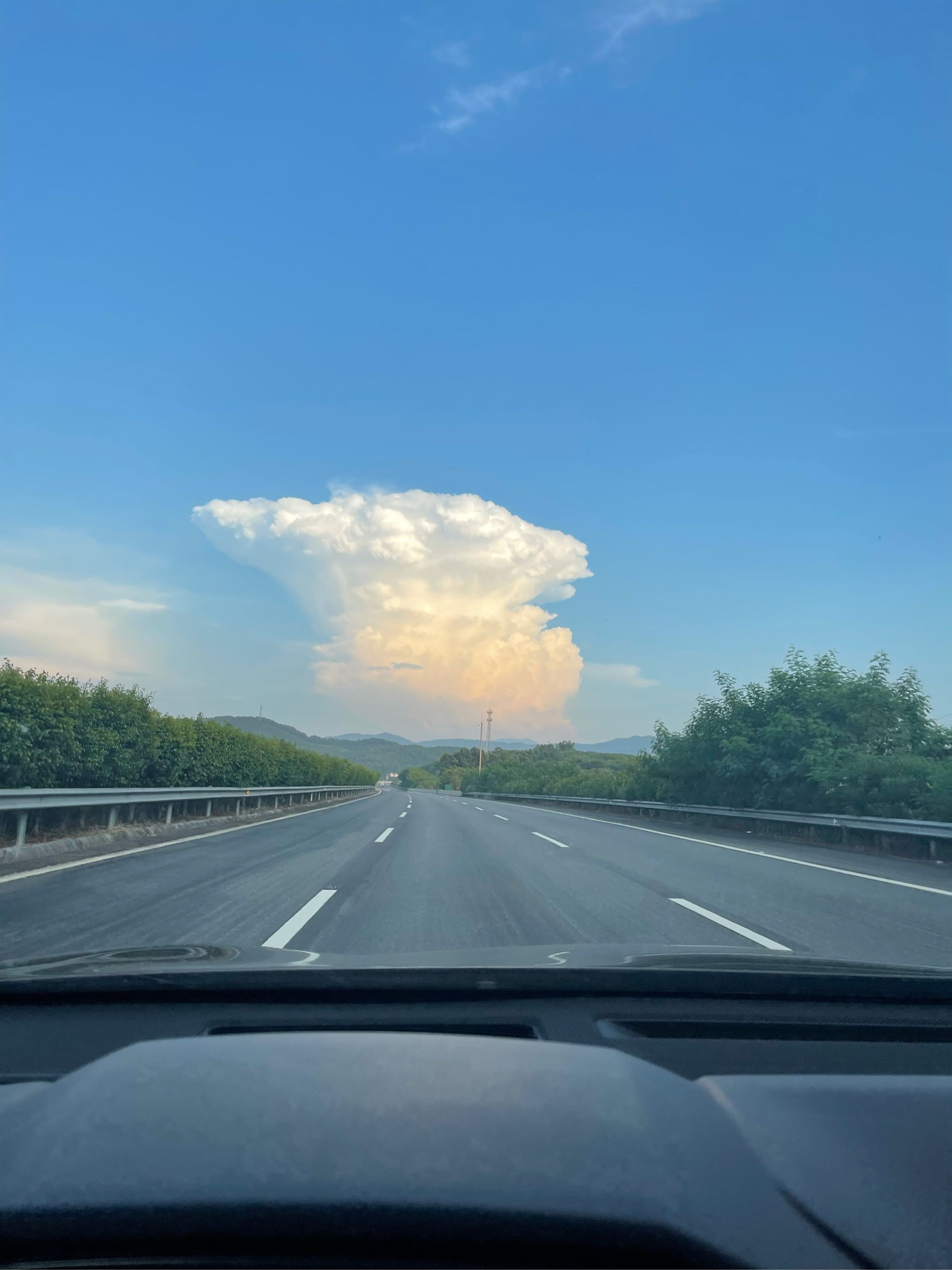 后汉美美的花朵