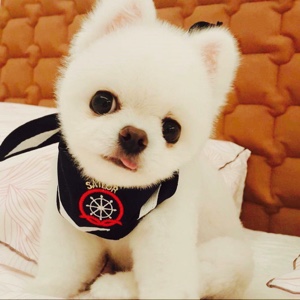 做个喜欢的自己