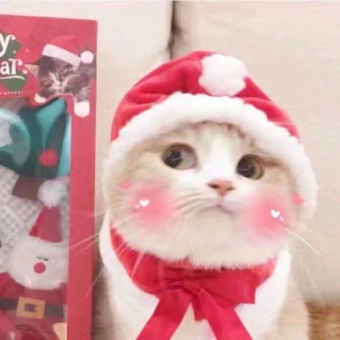 爱吃马蹄炒面的小福贵