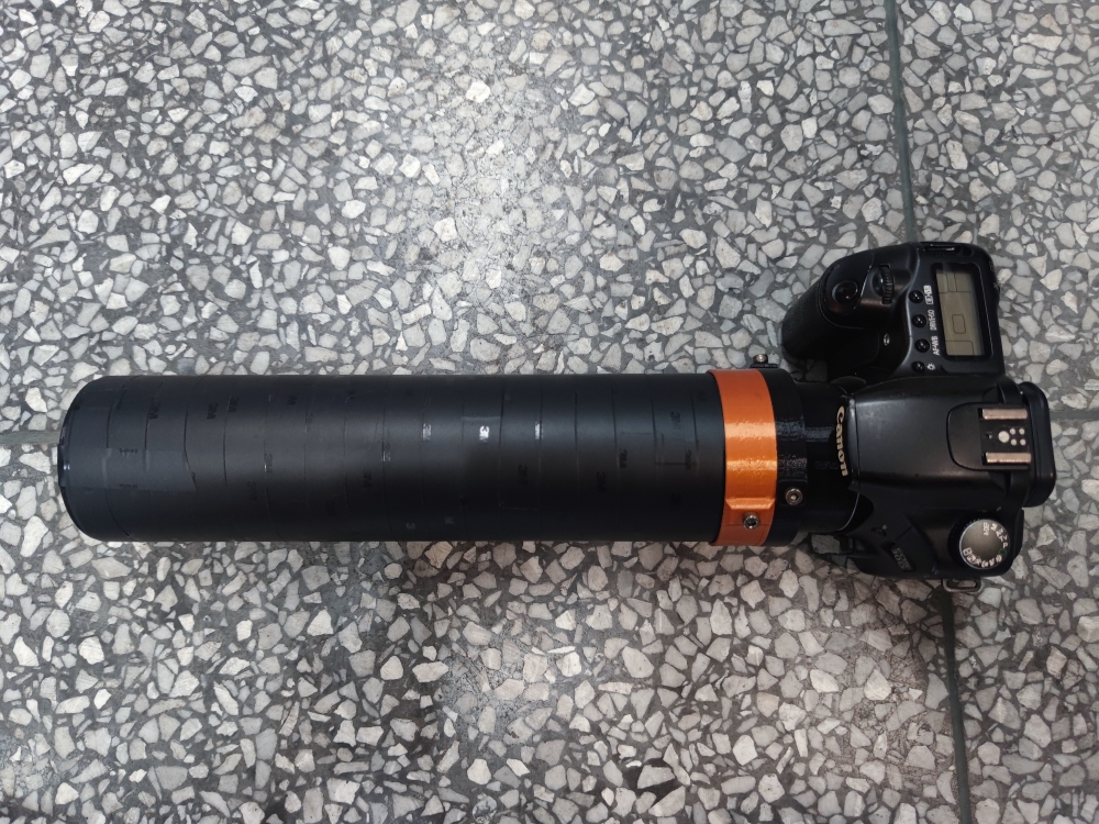 爱吃食油生菜的海洋