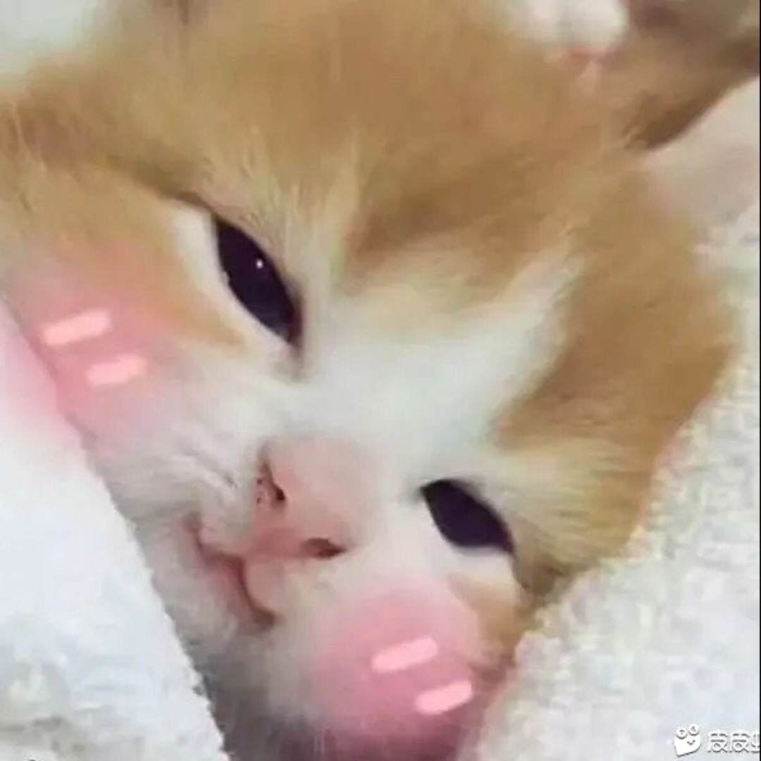 好想给你戴绿帽