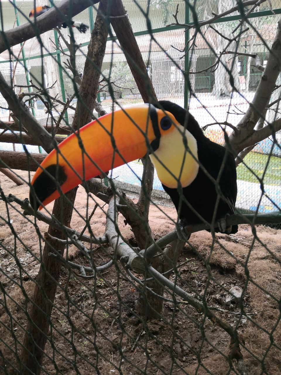 帮擦高层厚玻璃