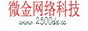微金网络