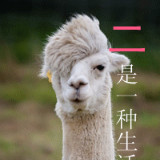 沉醉沉醉斜阳晚舟酣睡