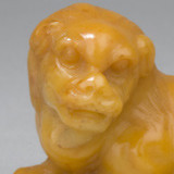 爱吃咖喱花菜的鱼七