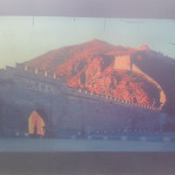 程家主子很迷人