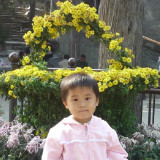 未来星攒钱的玉米