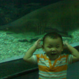 仲夏夜橘子的夏日夜空