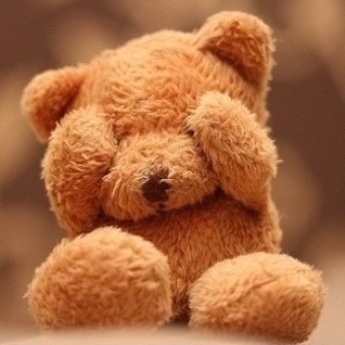 爱吃扇贝意面的棒球梓树